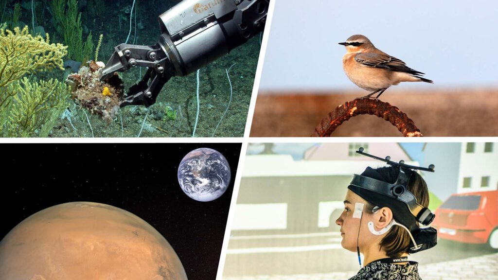 Marine research, animal navigation, materials sciences and technologies and hearing research are the topics of the four approved Clusters of Excellence of the Universities of Bremen and Oldenburg.