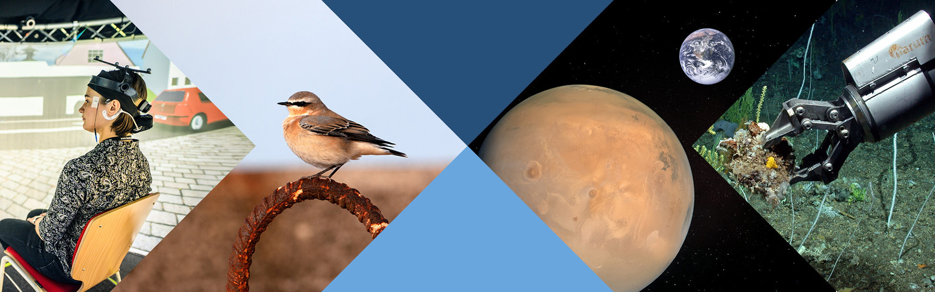 Collage aus vier Forschungsbereichen: Person mit Messsensoren in einer virtuellen Umgebung, ein Vogel auf einem Ast, der Planet Mars mit der Erde im Hintergrund sowie ein Unterwasserroboter bei der Probenentnahme am Meeresboden.