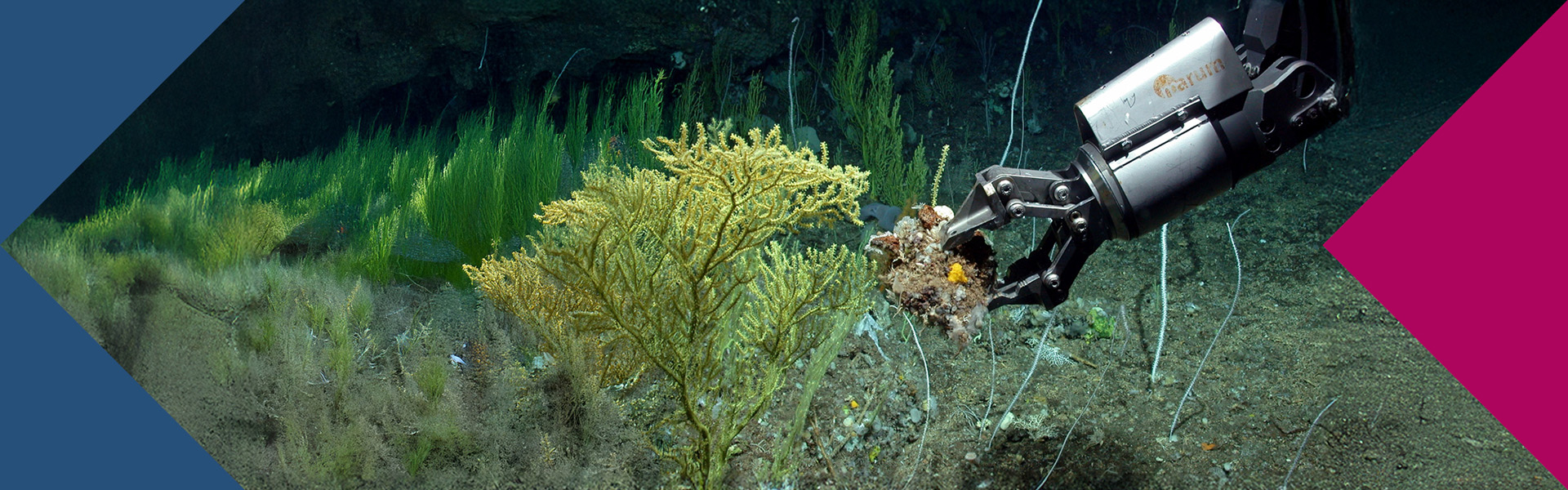 Der neue Tauchroboter MARUM-QUEST 5000 nach dem ersten Tauchgang im Nordatlantik.