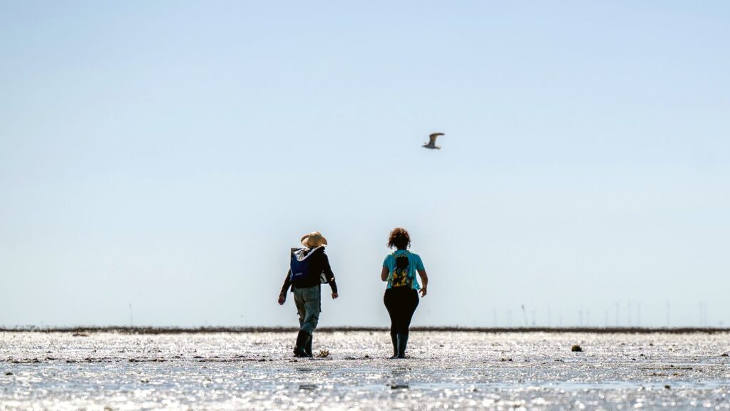 Zwischen Land und Meer