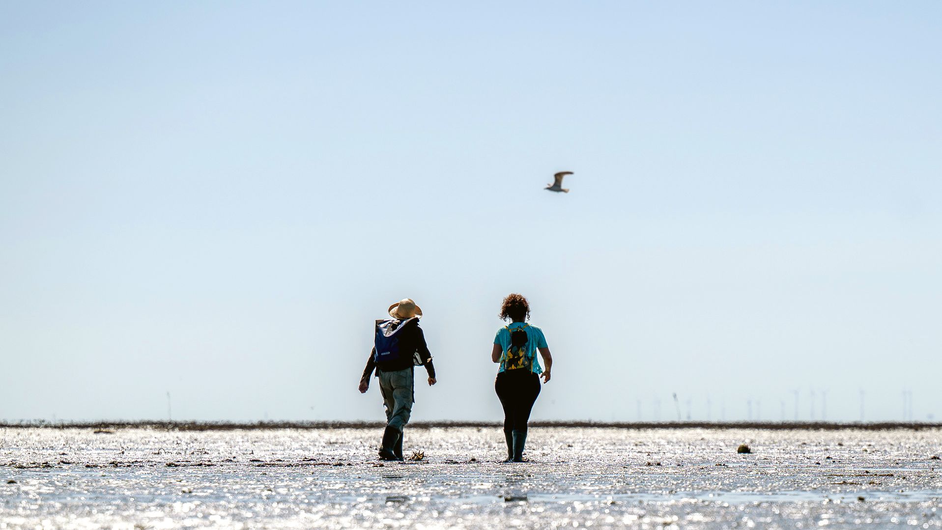 Zwischen Land und Meer